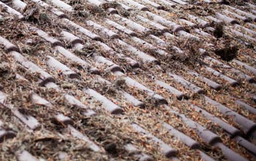 Axmansford roof cleaning companies