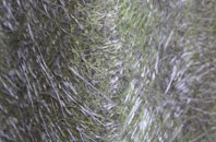 Axmansford fibreglass roof work